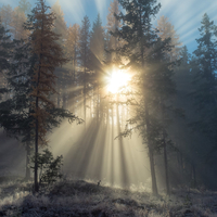 【軟件項(xiàng)目外包平臺公司|軟件項(xiàng)目外包平臺